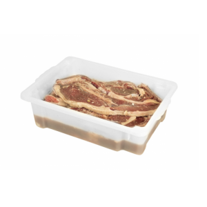 CAIXA 10 L ORGANIZADORA LEITOSA S/ TAMPA